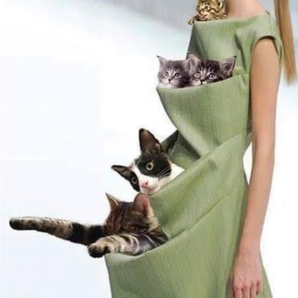 Welcome to my Closet🌻 - Picture 2 of 2